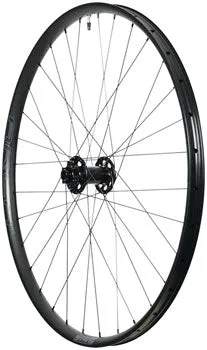 Arch MK4 Front Wheel - 29, 15 x 110mm