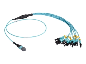 Black Box - Network cable - MTP/MPO multi-mode to LC multi-mode - 3 m - 0.1 in - fiber optic - simplex - OM3 - plenum FOHC20M3MPLC12AQ-3R2