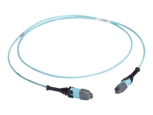 Black Box - Trunk cable - MTP/MPO type A multi-mode to MTP/MPO type A multi-mode - 10 m - 0.1 in - fiber optic - OM3 - OFNP - FOTC20M3MP12AQ-10R2