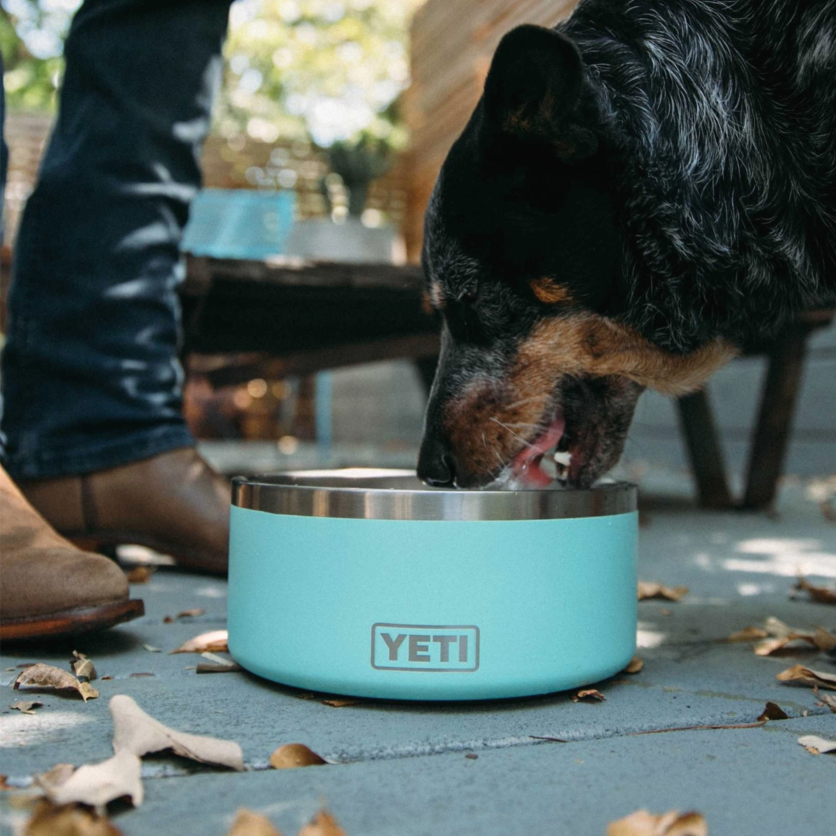 Boomer 8 Dog Bowl