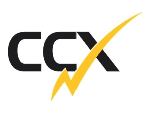CCX - Patch cable - SC to SC - 10 m - fiber optic - 9 / 125 micron - yellow FISMSCSC10M
