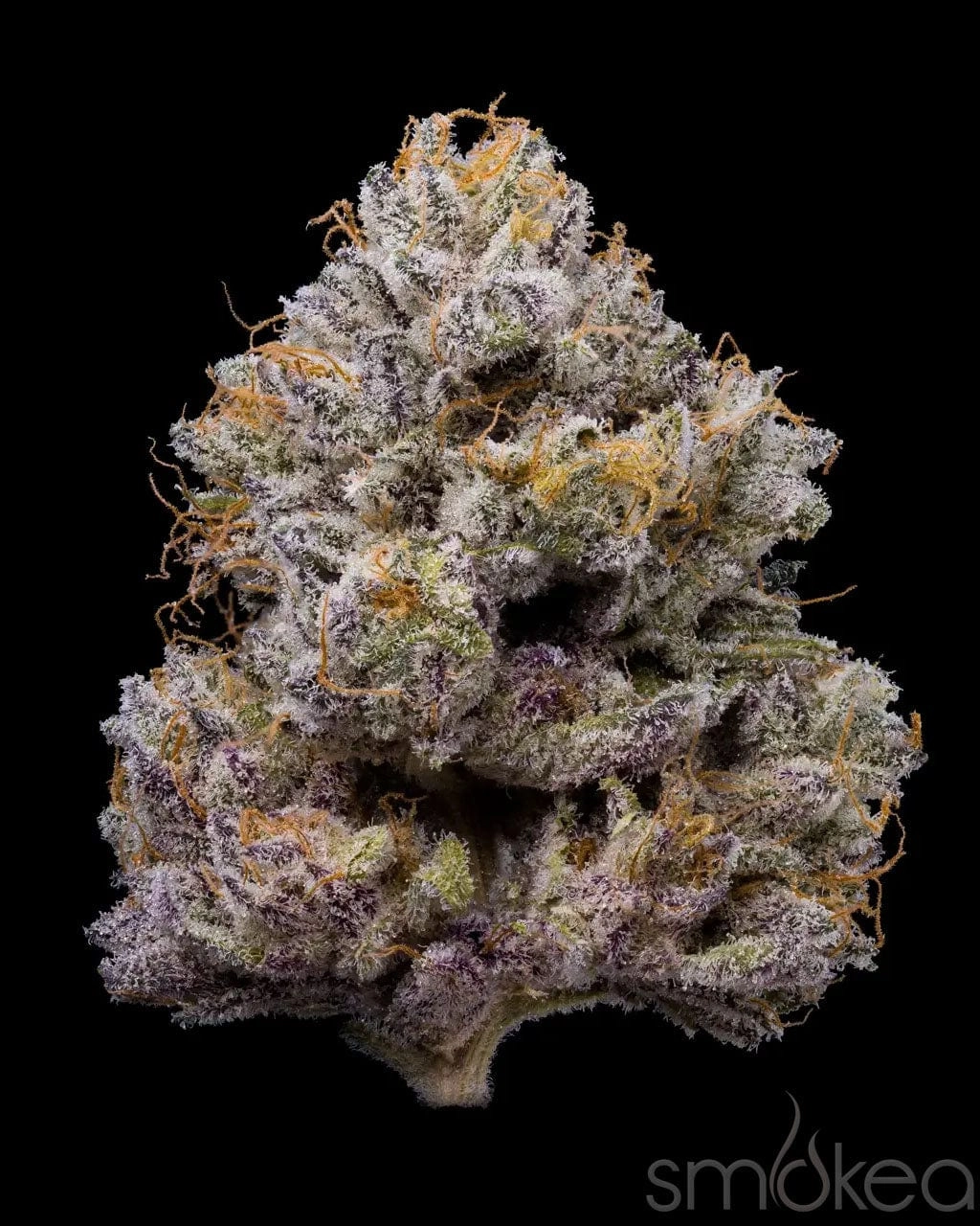 Lemonnade Cannabis Seeds - ZZ4