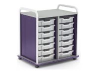 Paragon A&D Crossfit Storage - Trolley - 32 drawers - 16 gauge tubular steel, TFM CFD60OFTOTES17-918YZY
