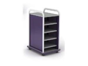 Paragon A&D Crossfit Storage - Trolley - 6 shelves - 16 gauge tubular steel, TFM CFS42OFSHLV-918IZI