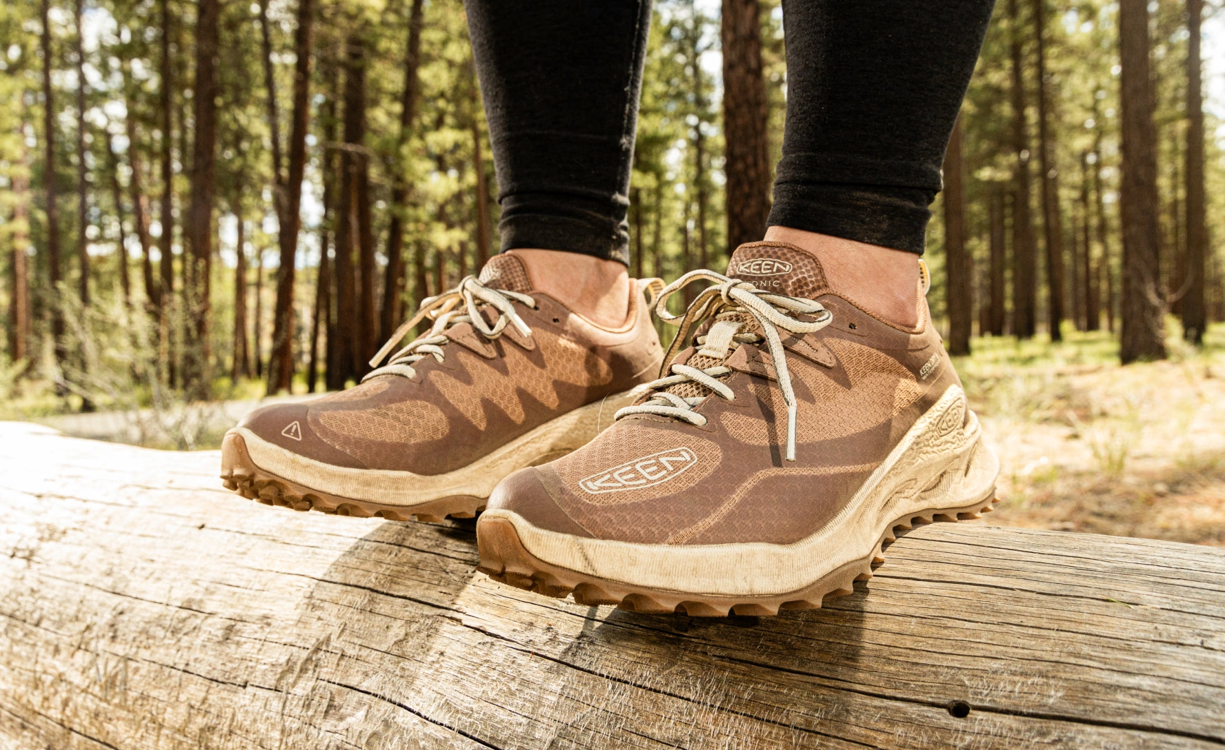 Women's Zionic Waterproof Hiking Shoe  |  Black/Black